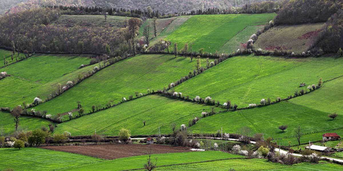 مازندران: نگین شمال ایران