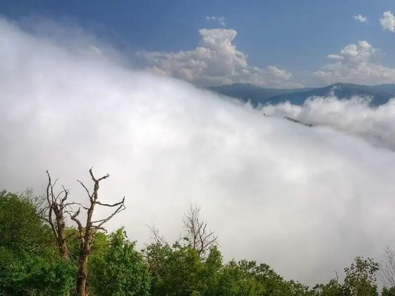 جنگل ابر؛ دریایی از ابر در دل کوهستان