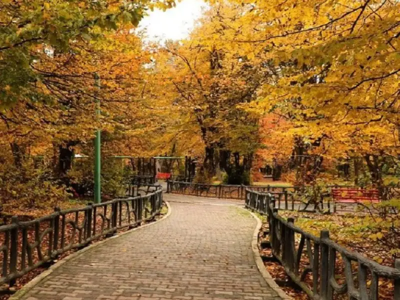 جنگل النگدره؛ طبیعتی بکر و دستنخورده در قلب گلستان جنگل النگدره؛ طبیعتی بکر و دستنخورده در قلب گلستان